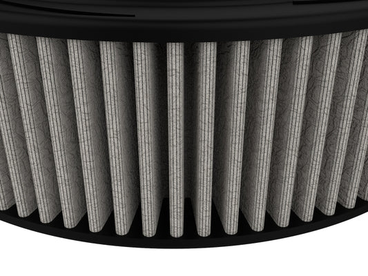 Photo - Close Up
