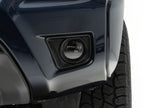 Photo - Close Up