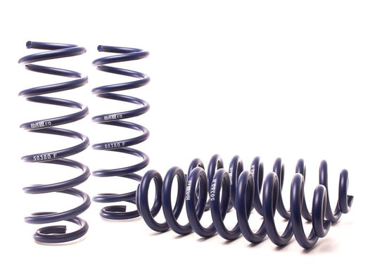 H&R 90-95 Toyota 4 Runner (2WD/4WD) Adventure Raising Spring (Adjustable)