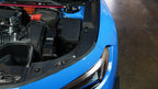 Carbon Fiber Honda FL5 Civic Type R Carbon Fiber Radiator Cooling Plates 2023 - Current