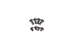 APR Performance Titanium Bolts Barrel Post and Screw Pack