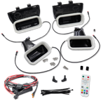2015-2017 Ford F-150 and 2017-2020 Ford F-150 Raptor Quad BIG MOUTH LIT KIT Ram Air Intake Snorkels