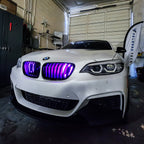 2014-2021 BMW F22 (2-Series) and 2012-2019 BMW F20/F21 (1-Series) Dual BIG MOUTH LIT KIT Ram Air Intake Snorkels