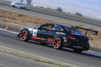 Universal Fitment GT-250 carbon fiber 71" Swan Neck Wing