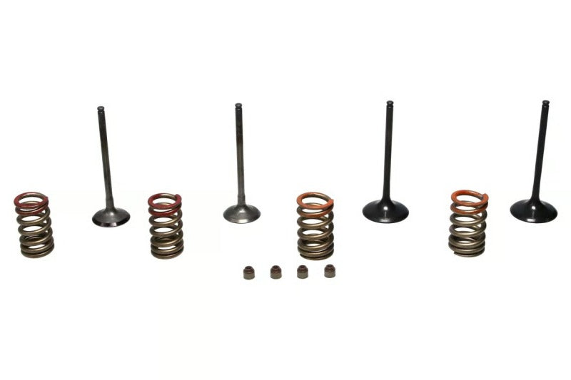 S&S Cycle 11-16 KX250F Steel Valve Set