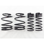 RS-R 13+ Subaru Impreza (GP7) Down Sus Springs
