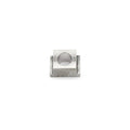 Wilwood t-nut .31 thru .03 offset titanium