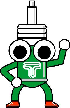 Tein Damper Keychain - Green/Black