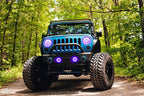 Oracle 07-17 Jeep Wrangler LED Fog Light Halo Kit - UV/Purple