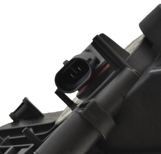 Photo - Close Up