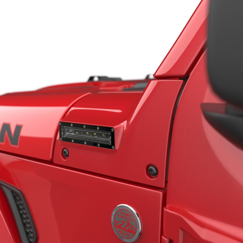 Photo - Close Up