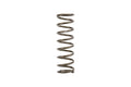 Eibach ERS 14in L x 3.50in OD Platinum Rear Spring - 100 lbs/in