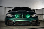 2014-2019 BMW M3 (F80) Dual BIG MOUTH LIT KIT Ram Air Intake Snorkels