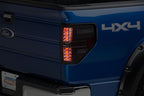 Raxiom 09-14 Ford Styleside Axial Series Black LED Tail Lights