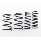 RS-R 2013 Ford Focus ST Down Sus Springs