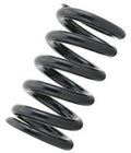 Tein Coilover Spring (Two Springs)