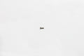 Wilwood bolt 6-32X.375 LG bhcs cres
