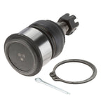 MOOG 04-08 Acura TSX Front Lower Ball Joint