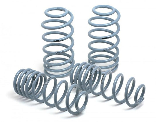 H&R 94-01 Acura Integra DC OE Sport Spring (Non Type R)