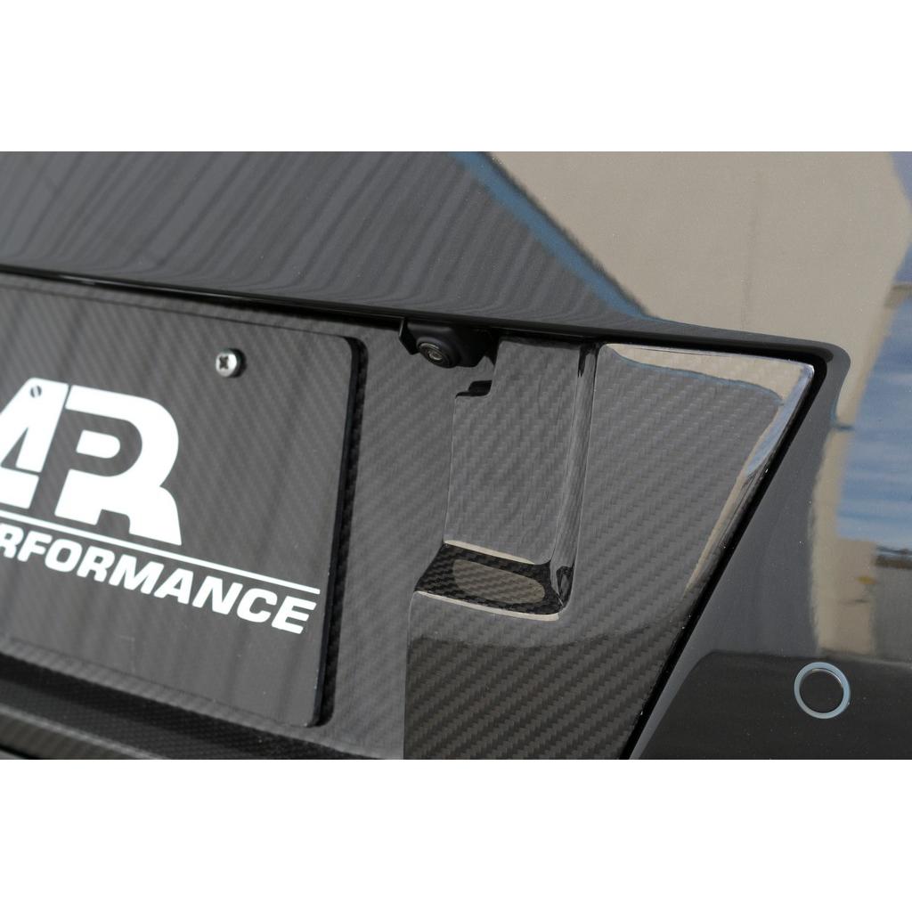 Nissan GTR R35 2017-2022-Carbon Fiber License Plate Backing